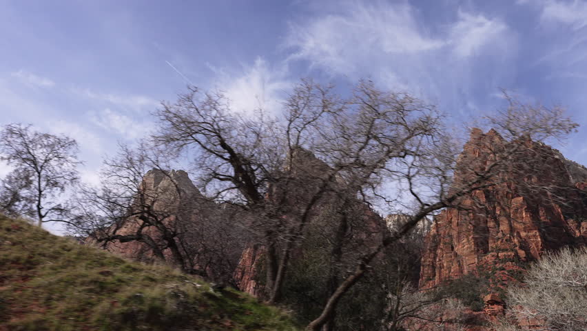 Trees passing in front of the Court of the Patriarchs while driving up Zion Canyon in Utah.