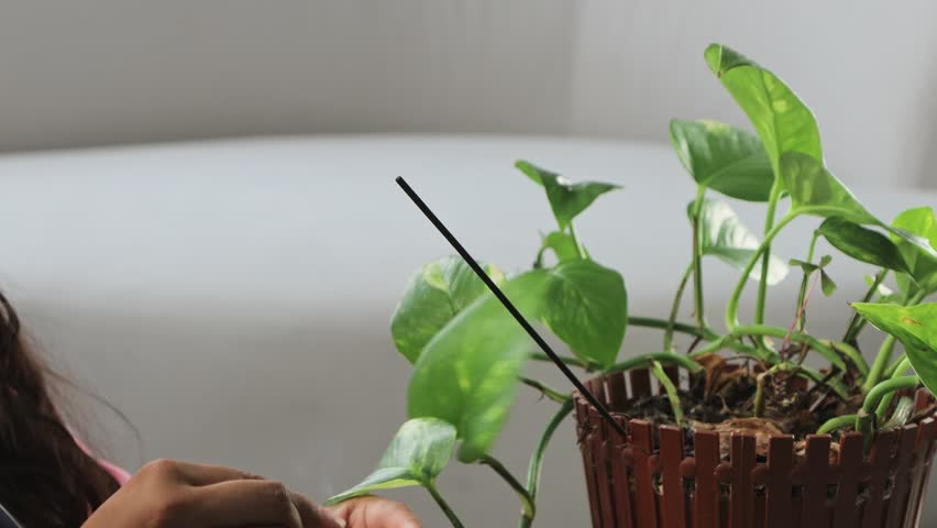 A young woman lights an incense stick positioned in a pot that also holds a small plant. The moment captures a peaceful home setting, focusing on relaxation, aroma, and a calming wellness atmosphere i