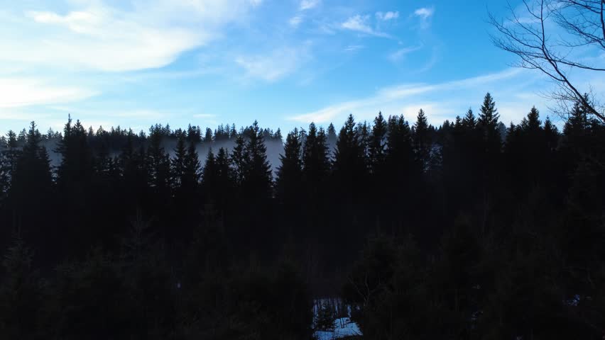 A cinematic drone aerial view of winter fog inversion over the Black Forest hills at sunrise. Misty clouds cover valleys while clear horizon and mountain silhouettes create dramatic atmospheric landscape scenery.