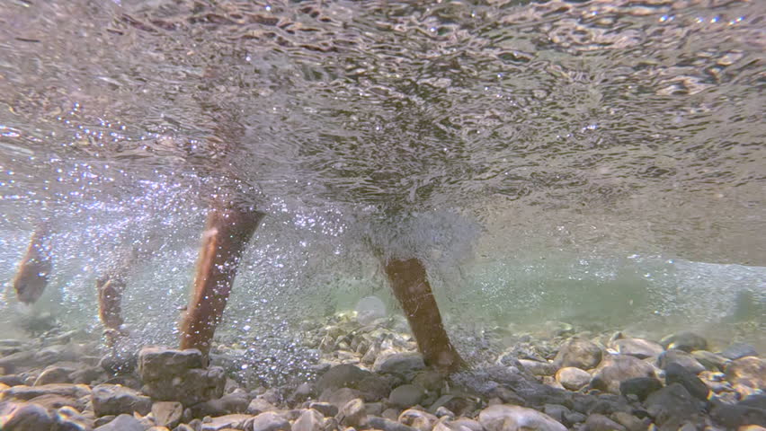 UNDERWATER, SLOW MOTION: Dog walking through a shallow river, legs and paws stirring up silt and bubbles over rocky riverbed. Furry companion during summer refreshment in crystal clear mountain stream