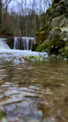 Vertical shot of a rushing forest stream with white foamy rapids flowing over mossy rocks, oak branches with dry leaves in foreground, late autumn atmosphere, moody wild nature landscape.