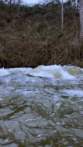 Vertical shot of a rushing forest stream with white foamy rapids flowing over mossy rocks, oak branches with dry leaves in foreground, late autumn atmosphere, moody wild nature landscape.