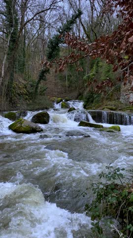 Vertical shot of a rushing forest stream with white foamy rapids flowing over mossy rocks, oak branches with dry leaves in foreground, late autumn atmosphere, moody wild nature landscape.