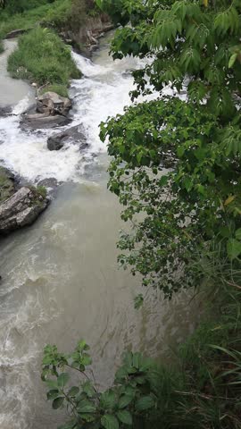 River Cascade in the Tropics 

Experience the refreshing sight of a rushing river flowing through lush greenery, where white water rapids meet the calm of a natural tropical forest.