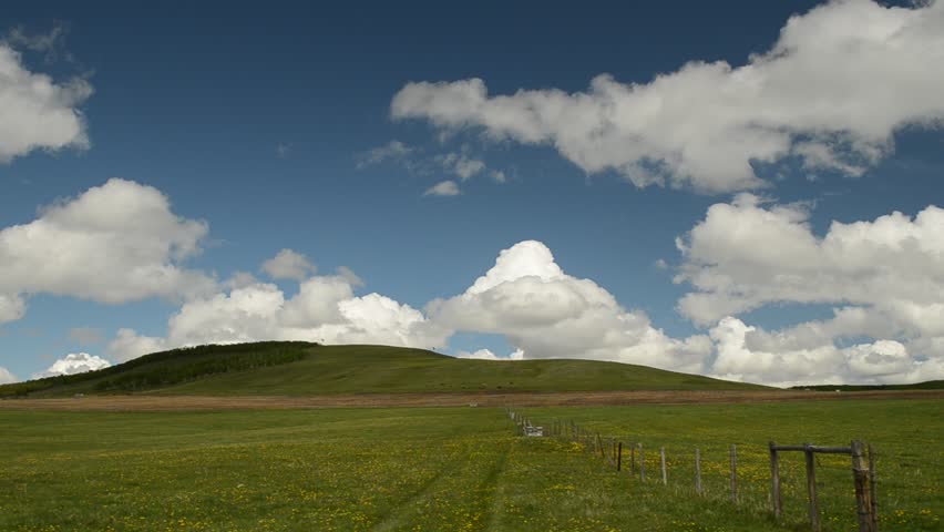 Green pasture in Alberta, Canada
