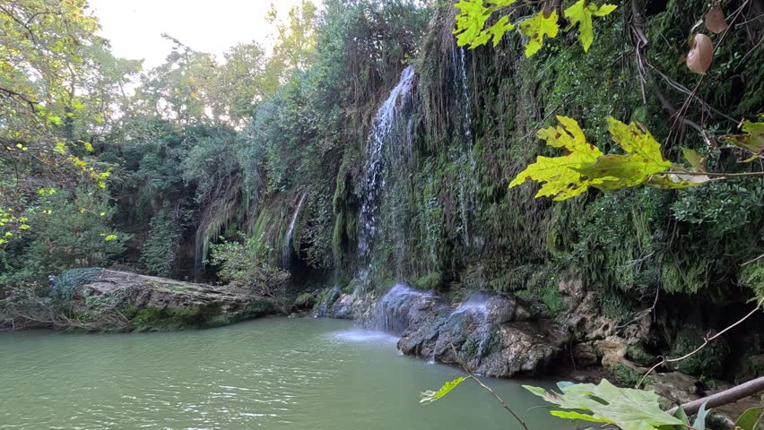 beautiful waterfall in the forest