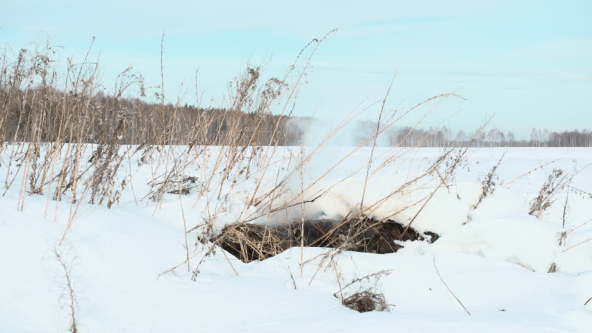 Snowcovered Terrain With Animal Traces. Chilly Open Field Featuring Animal Pathways And Subtle Fog . Stock clip