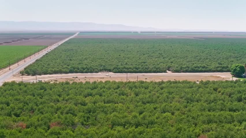 Expansive aerial view of lush green farmland stretching to the distant horizon, showcasing patchwork fields, rural landscapes, and agricultural abundance.