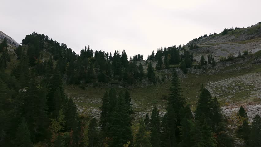 Drone view of a rugged and stony terrain with sparse pine trees in the French Alps, France. Aerial forward