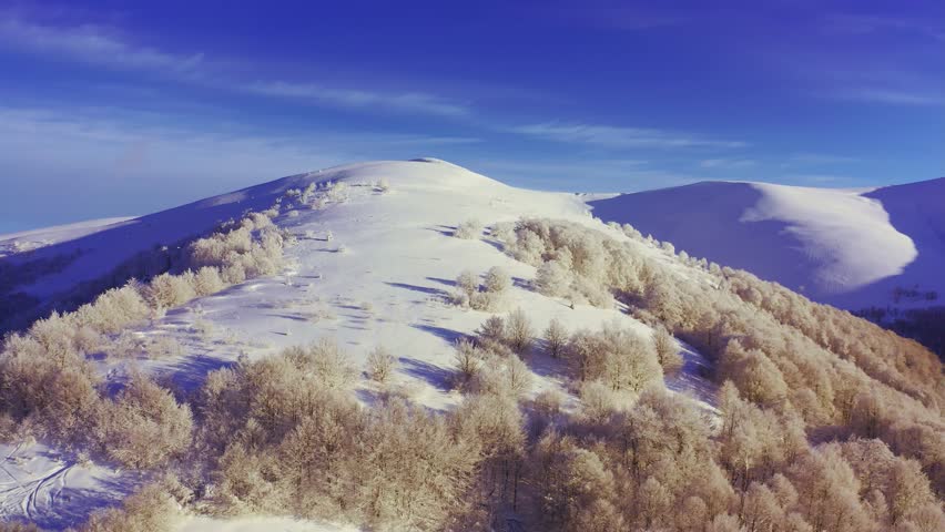 High snowy mountain covered with evergreen fir trees on a sunny cold day