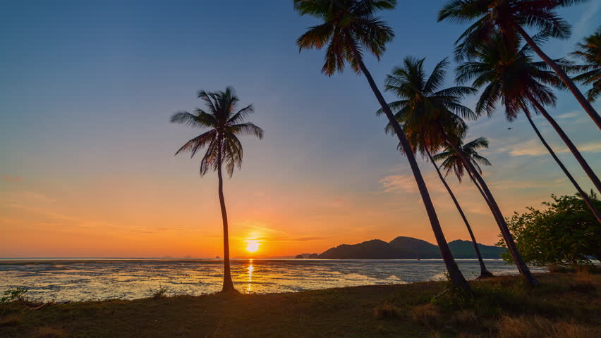 Sunrise Reflections on Calm Water and Coconut Shade.
Golden light glimmers across calm waves as coconut trees cast long silhouettes, reflecting the beauty of dawn at Laem Had Beach.