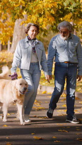 Overjoyed retired male and female having positive emotions during afternoon promenade with yellowed trees on background. Mature couple wearing denim taking their pet for walk on alley in autumn park.