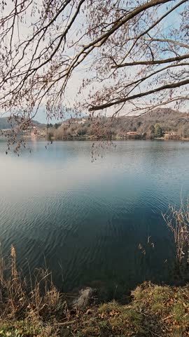 Serene vertical landscape of a misty lake surrounded by trees at sunrise. Calm morning atmosphere.