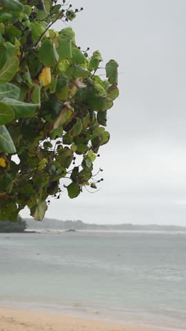 Polhena Beach, Matara, Sri Lanka.
