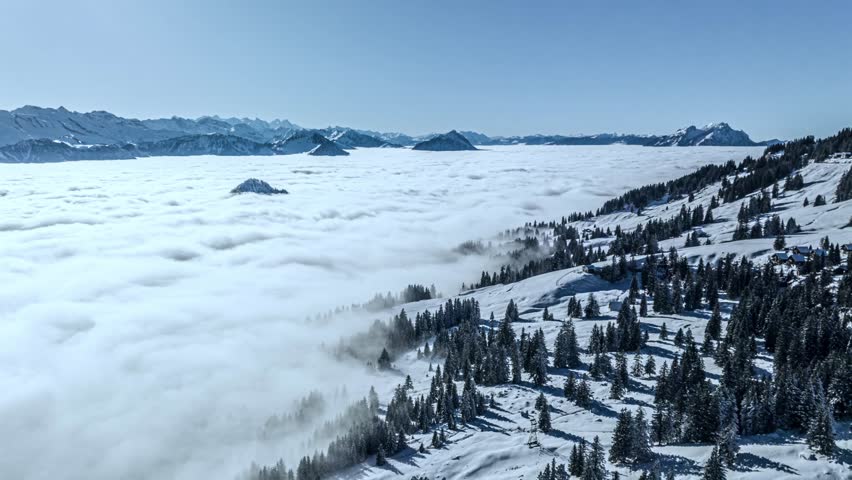 Moving aerial drone shot flying over a snow-dusted pine forest on a mountain slope.