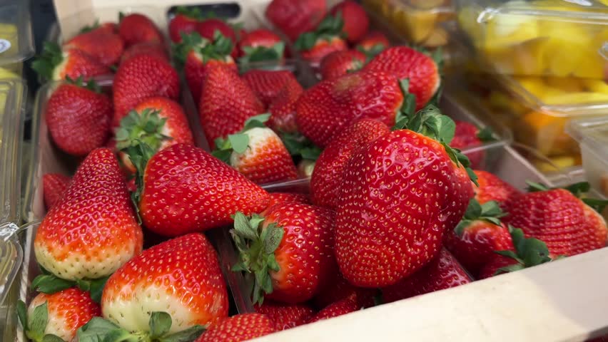 Close-up of customer examining fresh, vibrant strawberry for quality and ripeness at market display.