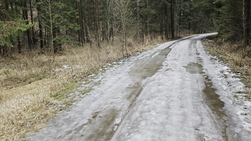 Walk along frozen forest road with ice puddles reflecting green tree crowns, documenting winter landscape, cold weather conditions and natural reflections	