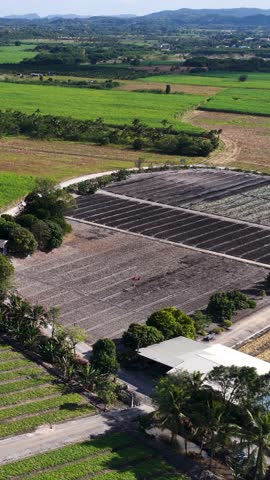 High altitude drone shot reveals vibrant green farmland and rural roads under bright daylight