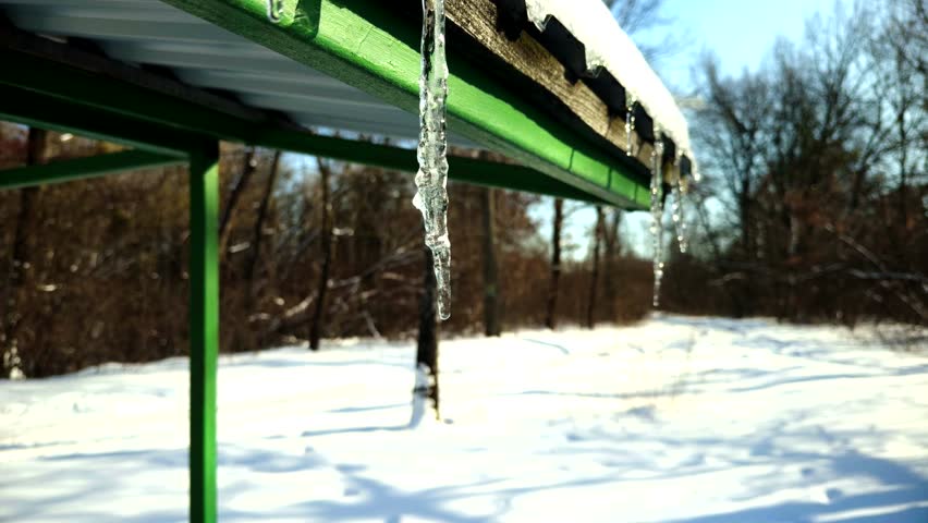 Transparent Winter Icicle Hanging From Green Roof Edge In Sunny Forest, Melting Winter Icicle Reflecting Bright Sunlight Against Snow Covered Ground, Seasonal Nature, Frozen Water Forming Winter Icicle During Cold January Morning, Frosty Weather Atmosphere, Ice Crystals, Wood Background, Natural Phenomenon, Shiny Surface, Temperature Drop, Seasonal Change