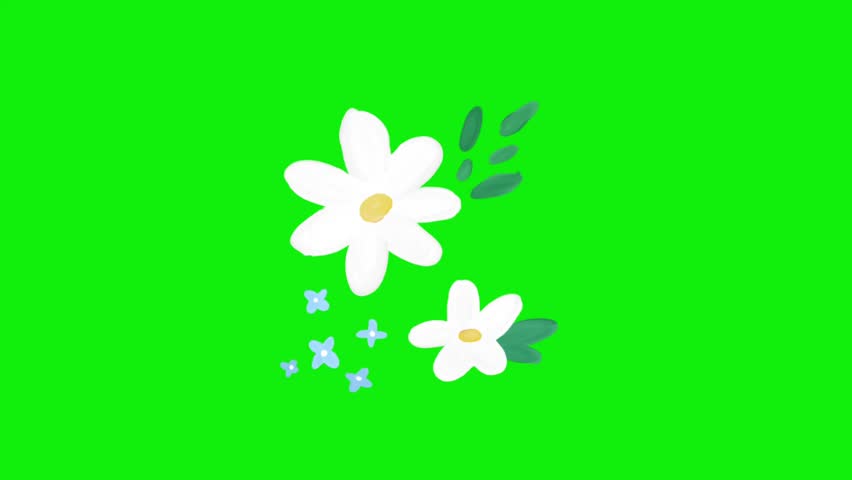 Very beautiful and lovely flower animation