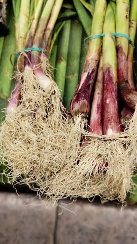 Close up detail of freshly harvested young green garlic stems with intact roots on display at a market, perfect for farm-to-table culinary themes, organic agriculture, and seasonal recipe content.