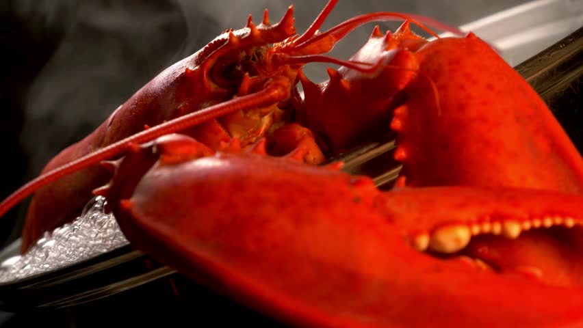 Steaming red lobster close-up during cooking, vibrant seafood texture in slow motion