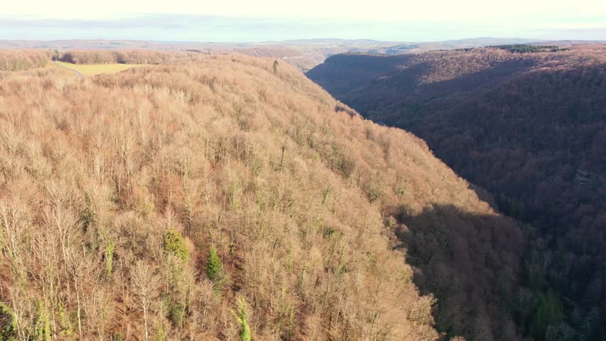 Aerial Drone Flight Over Forest and River Near Ornans, Bourgogne-Franche-Comté, France, in 4K