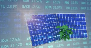 Animation of financial data processing over solar panels and plants on blue background. Global business, sustainability and solar energy concept digitally generated video. - Powered by Shutterstock - Get 15% off with code: PIKWIZARD15