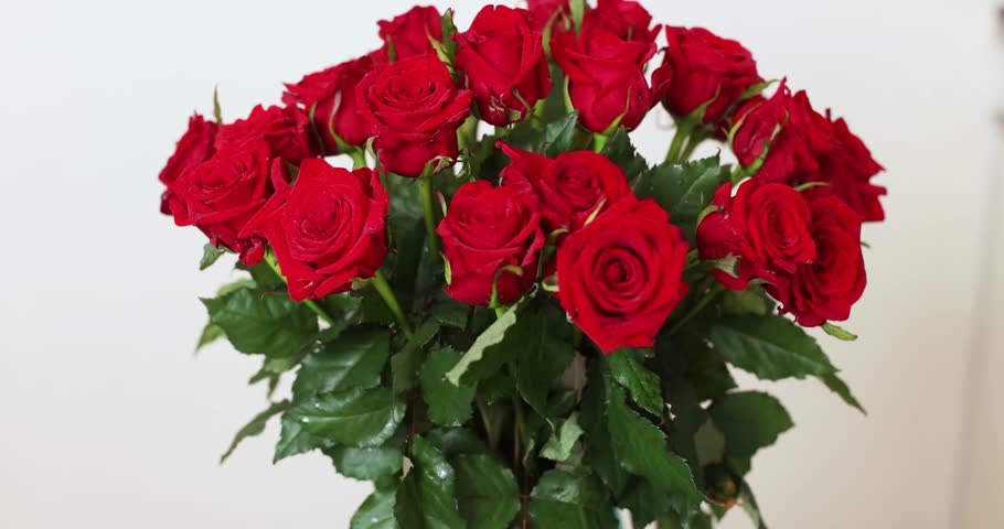 many beautiful red roses on a light background as a backing for the background
