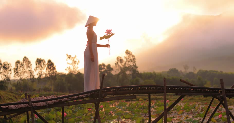 Cinematic sunrise silhouette of woman carrying lotus flowers on bamboo bridge above Tra Ly lotus pond, Duy Xuyen, Quang Nam, Vietnam. Soft haze and backlight, perfect for tourism promos and openers.