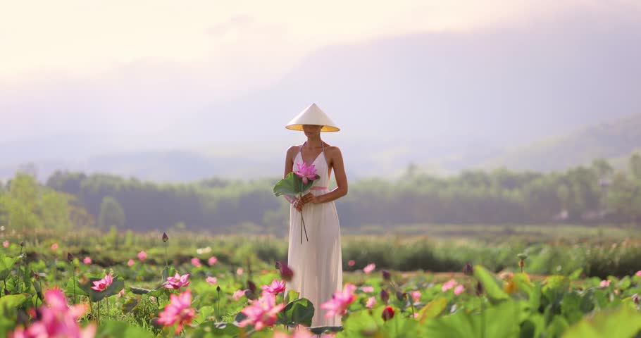 Cinematic sunrise lotus field portrait shows Vietnamese woman holding flowers in Tra Ly Lotus Pond, Thai Binh, near Da Nang. Perfect for tourism promos, lifestyle branding, and documentary openers.