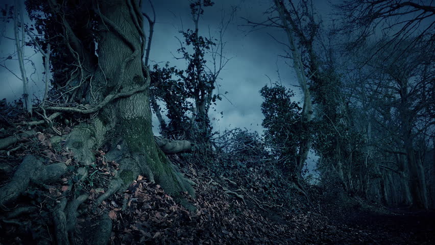 Wind Blows Leaves Over Path In Woods Creepy Scene