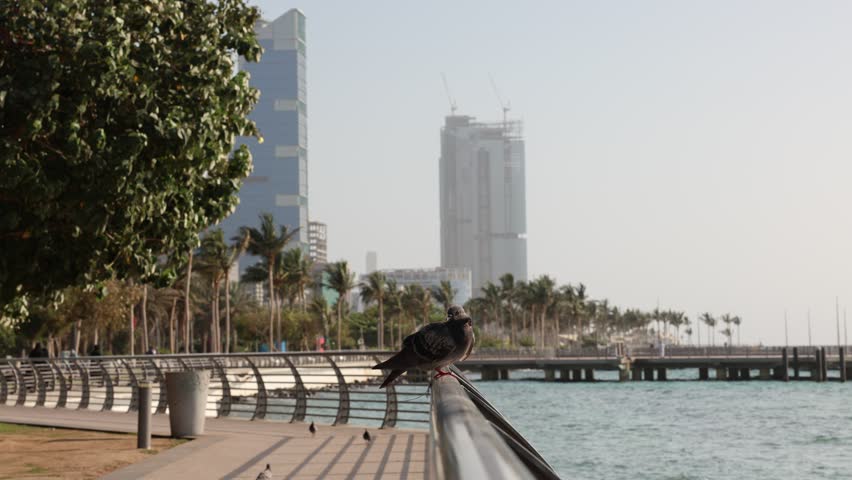 Jeddah, Saudi Arabia Feb 20 2026 - View of Jeddah beach  Red Sea corniche View, Waterfront , 