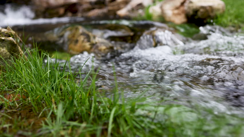 Crystal clear water of a small mountain river flowing over rocks. Close-up of a fresh, clean stream bubbling along a green grassy bank