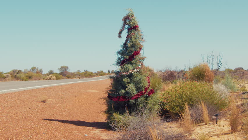 A tree made from local plants is decorated with ribbons beside a highway in Australia on a sunny day in December.