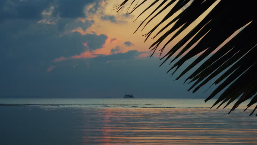 Tropical beach sunset with calm ocean, palm leaves silhouette peaceful sea at dusk travel background. Dramatic sunset sky over ocean, tropical beach sunset, calm water, island vacation, travel nature