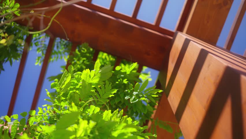 Upward view shows a wooden pergola as leaves sway and sun shifts, casting moving shadows and lens flare. Warm timber tones suggest a coastal Montenegro setting.