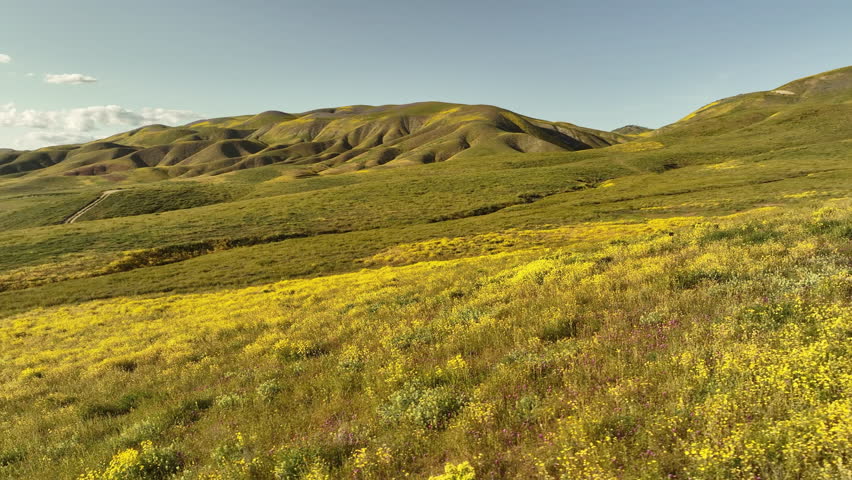 Carrizo Plain Sunset California Goldfields Aerial Shot Orbit R - Filmed outside of National Monument California USA