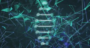 Animation of network of connections and dna strand over black background. global connections, data processing and digital interface concept digitally generated video. - Powered by Shutterstock - Get 15% off with code: PIKWIZARD15