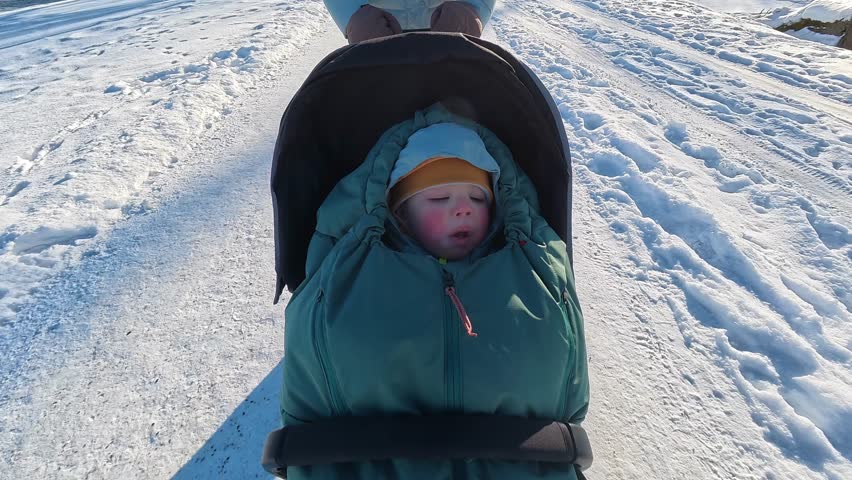 A child sitting in a stroller on a snowy winter day