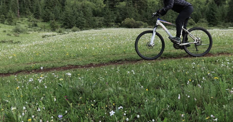 Riding mountain on the forest and grassland trail
