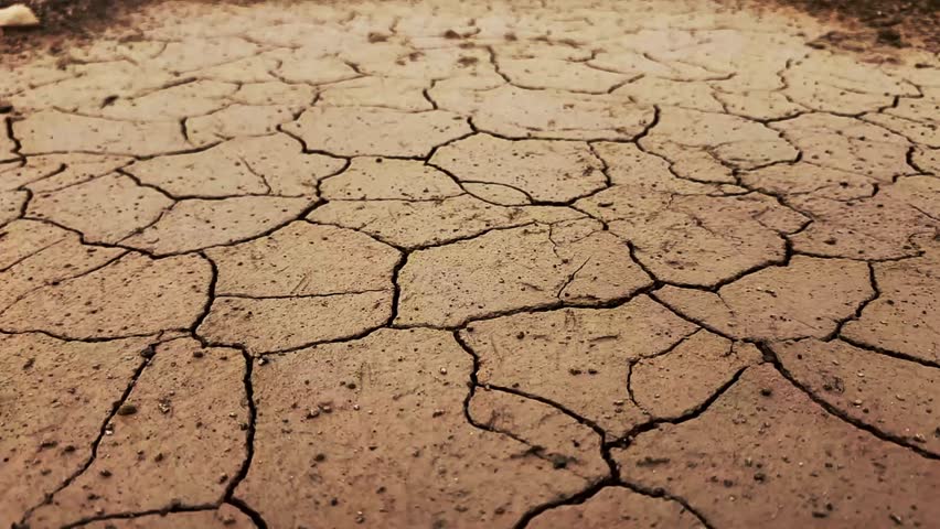 Cracked earth texture with a single rock in dry land setting