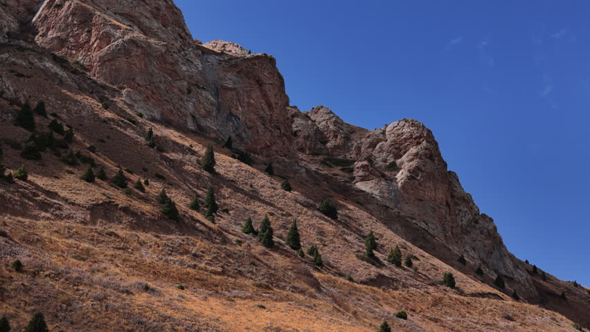 Rocky Mountain Cliff With Pine Trees Kyrgyzstan
