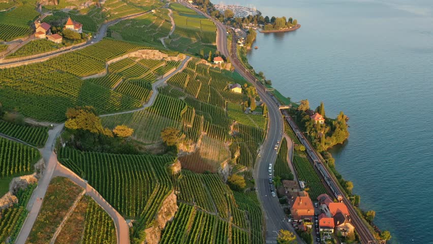 Montreux, Switzerland: Aerial footage of a train riding the stunning scenery along the the Lavaux vineyard near Vevey and Montreux by the Riveria of lake Geneva in Canton Vaud, Switzerland