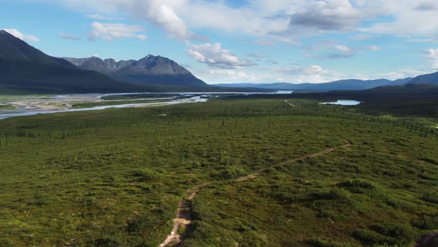 Stunning tundra meadow with rivers in Denali national park