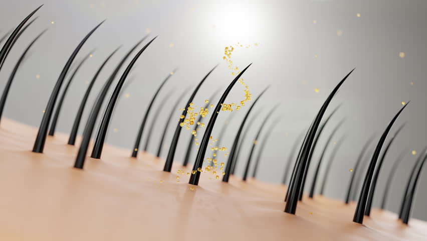 Hair care, hair growth oil drop to root, Animation Nourish hair action of shampoo or serum. Repair damaged hair. 3d rendering.