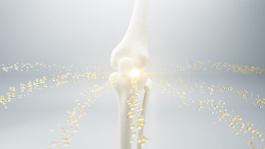 3D medical animation of knee joint anatomy surrounded by golden molecular particles. Concept of arthritis treatment, collagen supplement, bone health, pain relief and futuristic healthcare innovation.