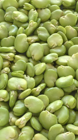 Fresh, peeled broad beans (Vicia faba) featured as a rotating food abstract background. Focus is selective. Vertical video.