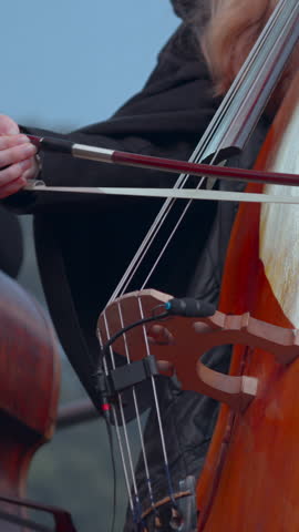 Performers Masterfully Control Bass And Strings During Ensemble Performances Across Environments . Media