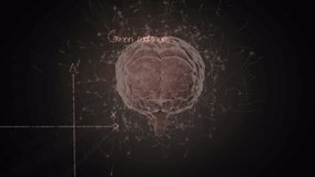Animation of mathematical equations and data processing over human brain. Global science, computing and data processing concept digitally generated video. - Powered by Shutterstock - Get 15% off with code: PIKWIZARD15